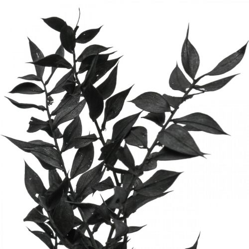 Floristik24 Ruscus branches decorative branches dried flowers black 200g