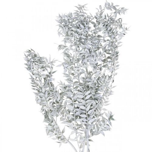 Ruscus sprigs, Butcher&#39;s broom, Dry plant White washed L58cm 80g
