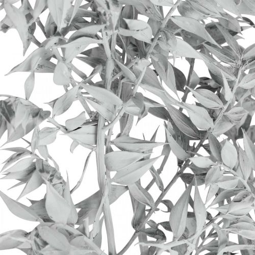 Product Ruscus sprigs, Butcher&#39;s broom, Dry plant White washed L58cm 80g