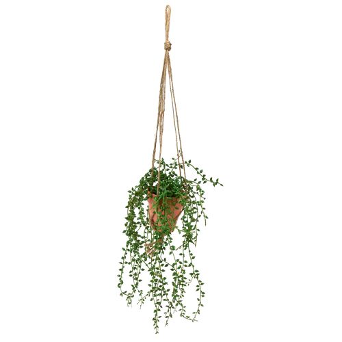 Floristik24 Artificial succulents hanging artificial plant in pot 34cm