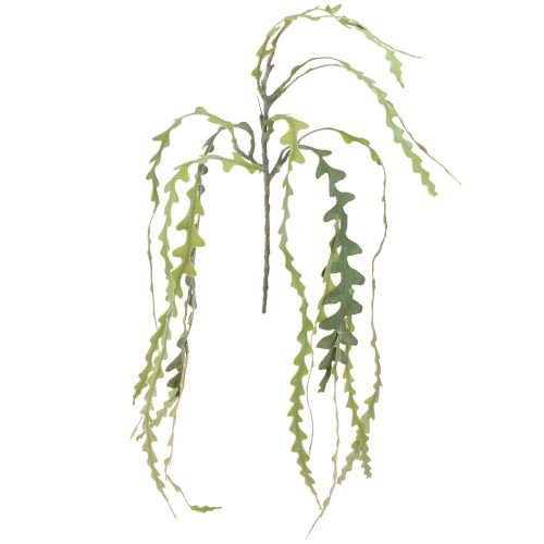 Floristik24 Saw Leaf Cactus Artificial Epiphyllum anguliger L68cm 3 pcs