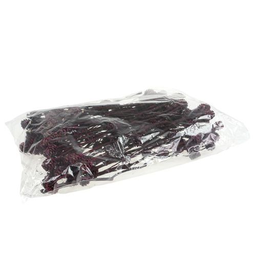 Floristik24 Salignum branches with cones Berry 25 pcs