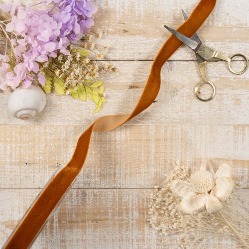 Velvet ribbon, decorative ribbon for crafting and packaging, 20mm, 10m | Floristik24.ie