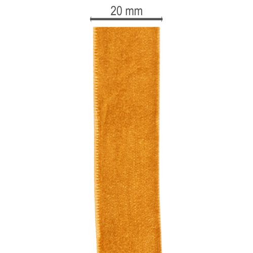 Velvet ribbon, decorative ribbon for crafting and packaging, 20mm, 10m | Floristik24.ie