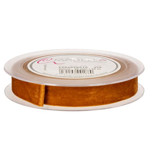 Velvet ribbon, decorative ribbon for crafting and packaging, 20mm, 10m | Floristik24.ie