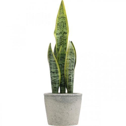 Floristik24 Artificial bow hemp, green plant in a pot, Sansevieria H39cm Ø12cm