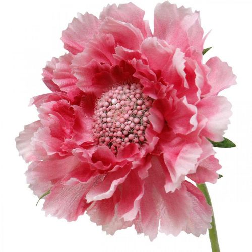 Floristik24 Artificial flower decoration, scabious artificial flower pink 64cm bundle of 3pcs