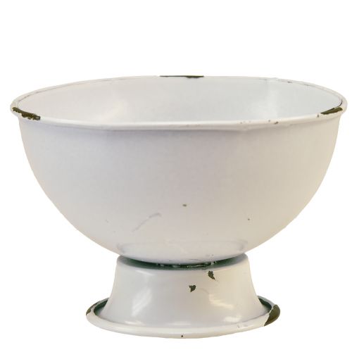 Floristik24 Trophy bowl decorative trophy white rust Ø15cm H10cm set of 2