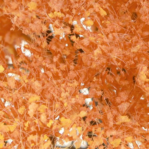 Product Yarrow artificial flowers Achillea artificial orange 30cm 6 pcs