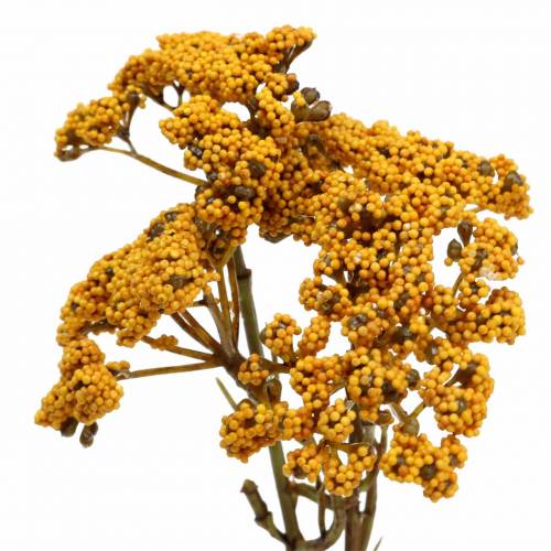 Floristik24 Yarrow artificial yellow 74cm 3pcs