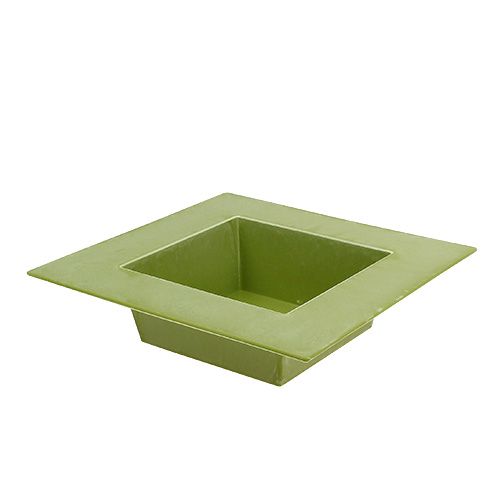 Floristik24 Square bowl light green 20cm x 20cm, 1p