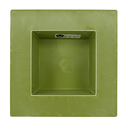 Floristik24 Square bowl light green 20cm x 20cm, 1p