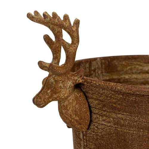 Decorative bowl, reindeer head, oval, rust-colored, rustic, 41cm | Floristik24.ie
