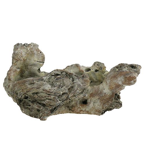 Floristik24 Bowl wood root 25.5cm x 14cm H11.5cm