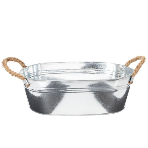 Oval bowl 35cm x 21.5cm H11.5cm, glossy zinc buy online | Floristik24.ie