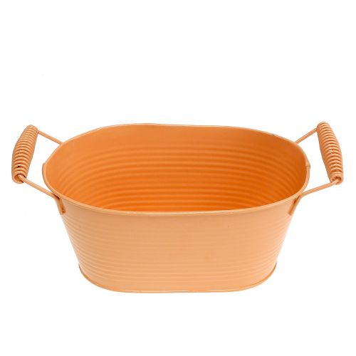 Floristik24 Bowl oval pastel orange 20cm x 12cm H9cm