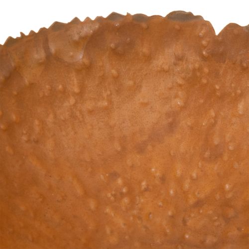 Round metal bowl with rust-effect textured surface, 20cm | Floristik24.ie