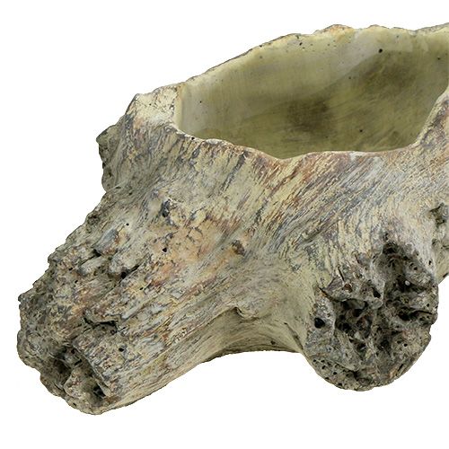 Floristik24 Bowl for planting 30cm x 13cm H8.5cm