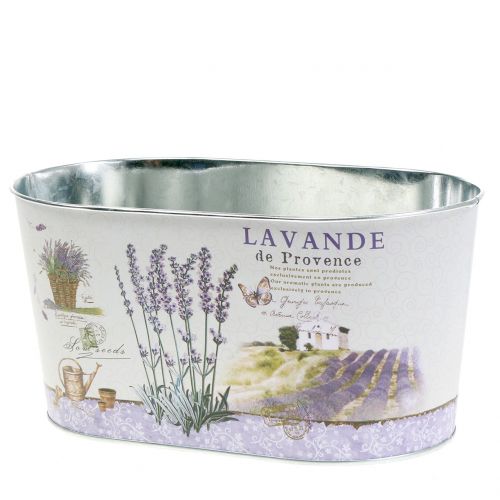Floristik24 Plant bowl lavender oval 22.5cm x 13.5cm H11cm