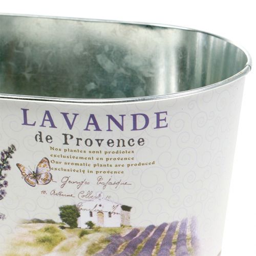 Floristik24 Plant bowl lavender oval 22.5cm x 13.5cm H11cm