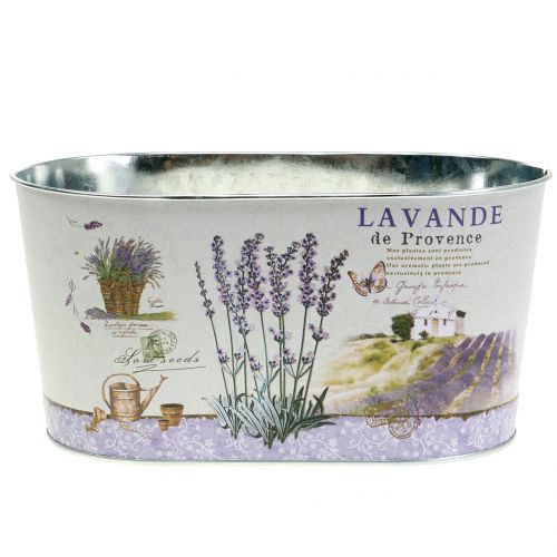 Floristik24 Plant bowl lavender oval 22.5cm x 13.5cm H11cm
