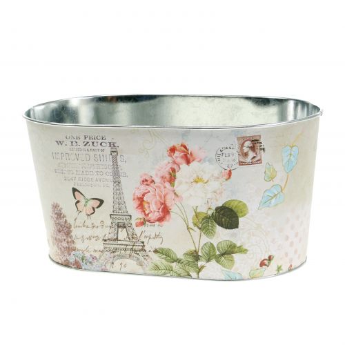 Floristik24 Plant bowl roses oval 22.5cm x 13.5cm H11cm