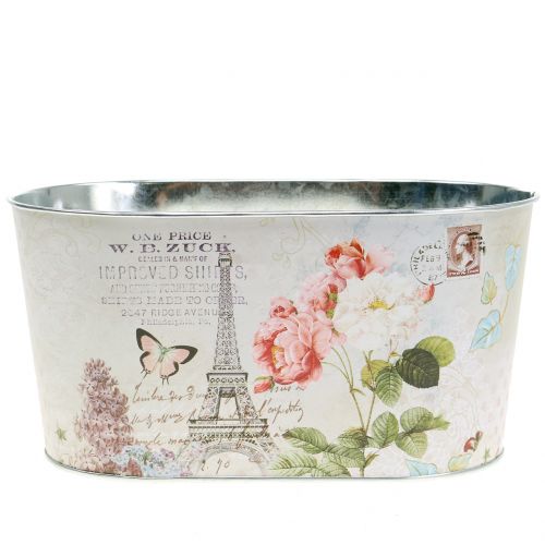 Floristik24 Plant bowl roses oval 22.5cm x 13.5cm H11cm