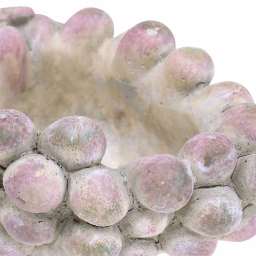Floristik24 Decorative bowl grapes gray purple cream 19×14cm H9.5cm