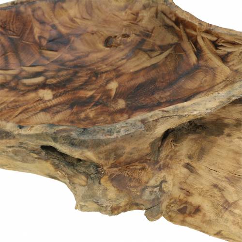 Floristik24 Burl wood bowl flamed 70cm x 27cm H12cm