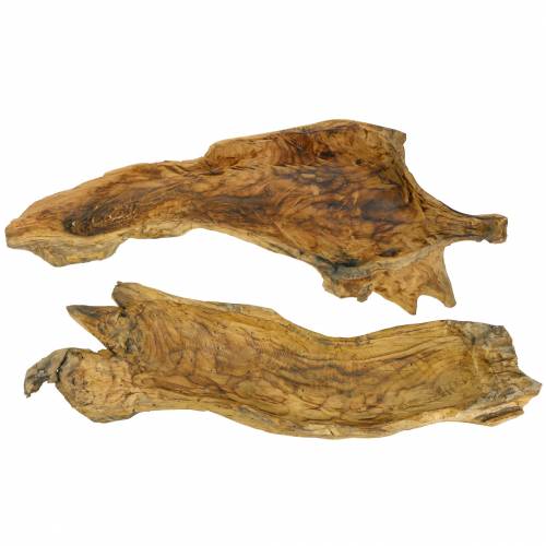 Floristik24 Burl wood bowl flamed 70cm x 27cm H12cm