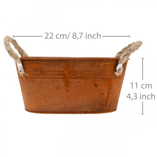 Floristik24 Metal bowl with handles, autumn decoration, planter with patina L22cm H11cm