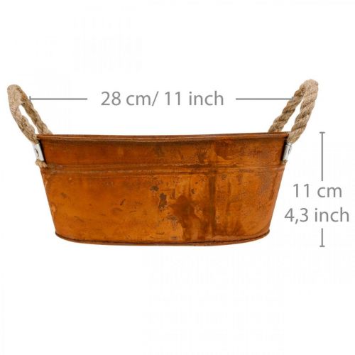 Floristik24 Plant pot with handles, herb bowl, autumn decoration, patina L28cm H11cm