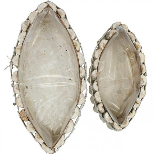 Floristik24 Plant bowl, wooden plant box, jardiniere L37.5/28cm H10/9cm set of 2