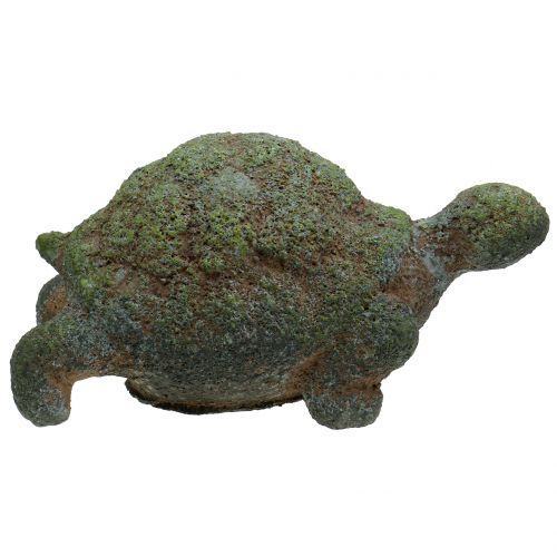 Floristik24 Garden figurine turtle mossy 30cm x 18cm H15cm