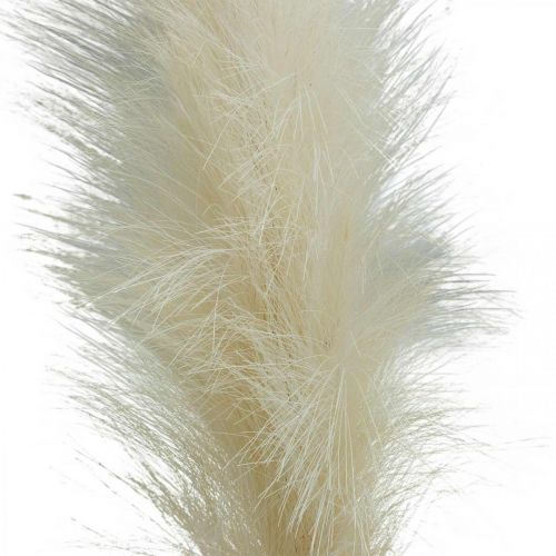 Product Feather Grass Cream Chinese Reed Artificial Dry Grass 100cm 3pcs