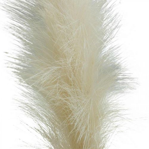 Floristik24 Feather Grass Cream Chinese Reed Artificial Dry Grass 100cm 3pcs