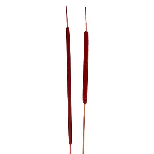 Reed Flakes Mix Red 100 pcs