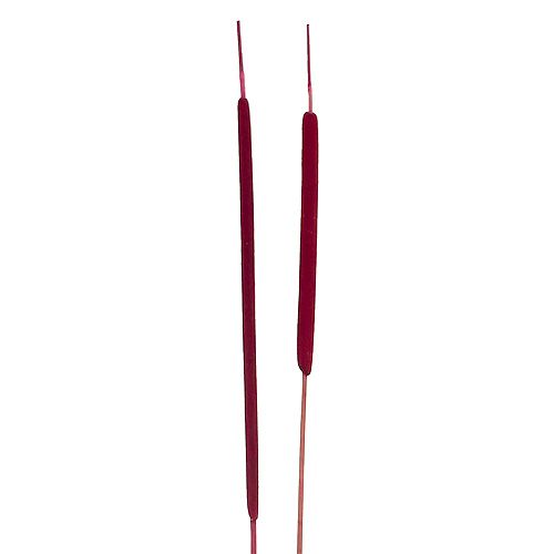 Floristik24 Reed Flakes Mix Erika 100 pcs