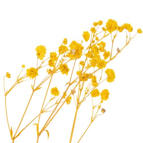 Product Dried flower bouquet with baby's breath. Decorative flowering branches suitable for seasonal table decorations. 70cm