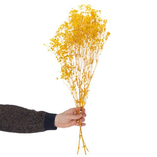 Product Dried flower bouquet with baby's breath. Decorative flowering branches suitable for seasonal table decorations. 70cm