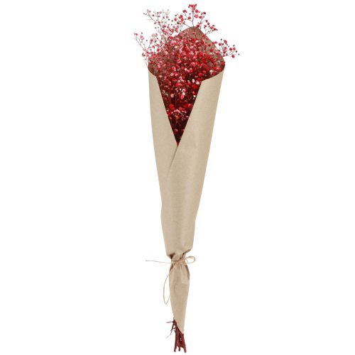 Floristik24 Gypsophila Dried Flowers Red 50cm 55g