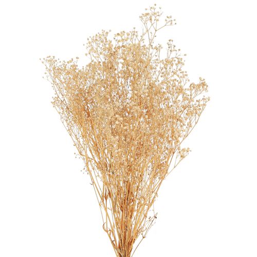 Floristik24 Baby's Breath White Dried Flowers Gypsophila 50cm 55g