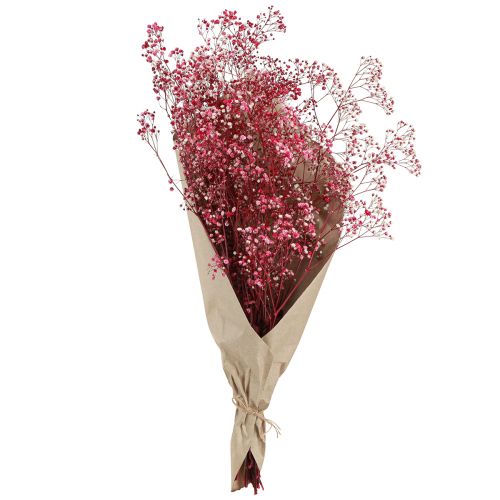 Floristik24 Gypsophila paniculata Dried Baby's Breath Berry 50cm 55g