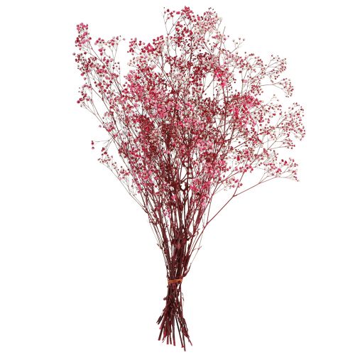 Product Gypsophila paniculata Dried Baby's Breath Berry 50cm 55g