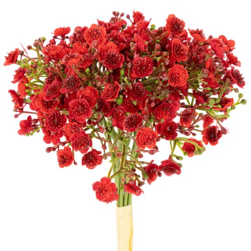 Artificial baby's breath, red, bouquet as flower decoration, 30cm, 10 pieces