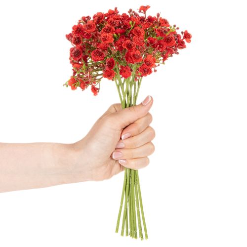Artificial baby's breath, red, bouquet as flower decoration, 30cm, 10 pieces | Floristik24.ie