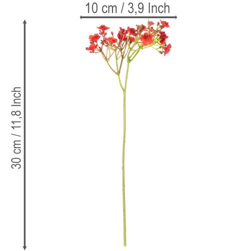 Artificial baby's breath, red, bouquet as flower decoration, 30cm, 10 pieces | Floristik24.ie
