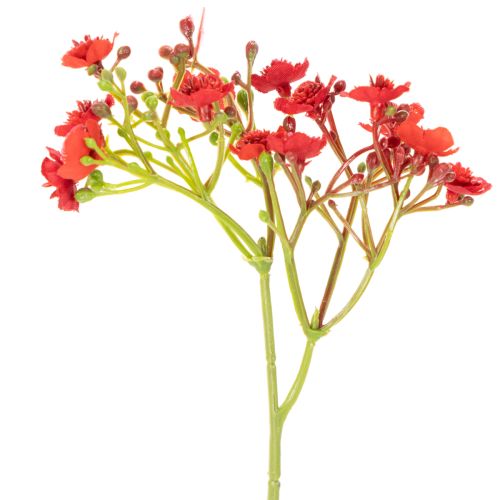 Artificial baby's breath, red, bouquet as flower decoration, 30cm, 10 pieces | Floristik24.ie