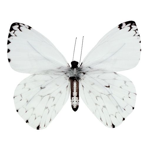 Floristik24 Butterfly white 20cm on wire 2pcs