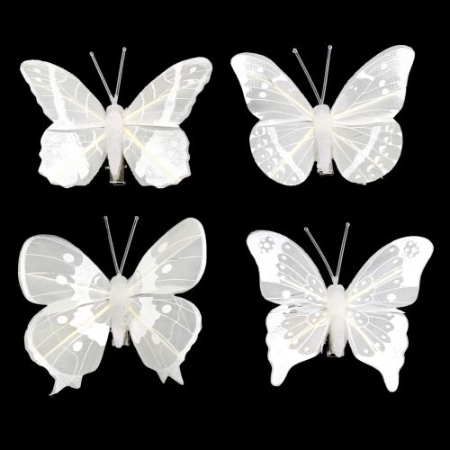 Floristik24 Butterfly on clip white 8cm 8pcs